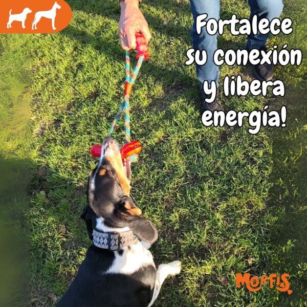 Hueso con cuerda para halar