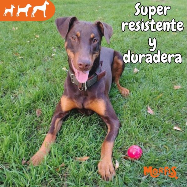 Pelota saltarina para perros resistente