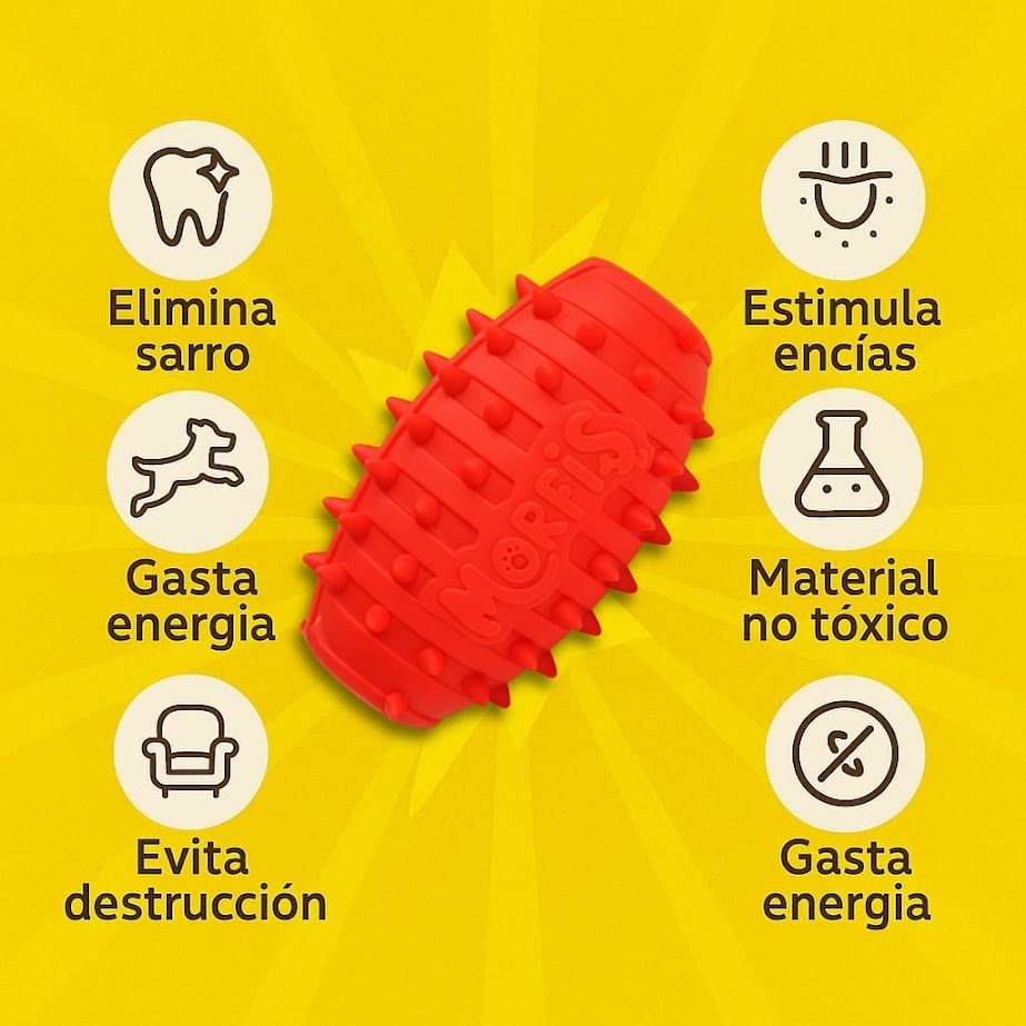 Granada para snacks - Imagen 3