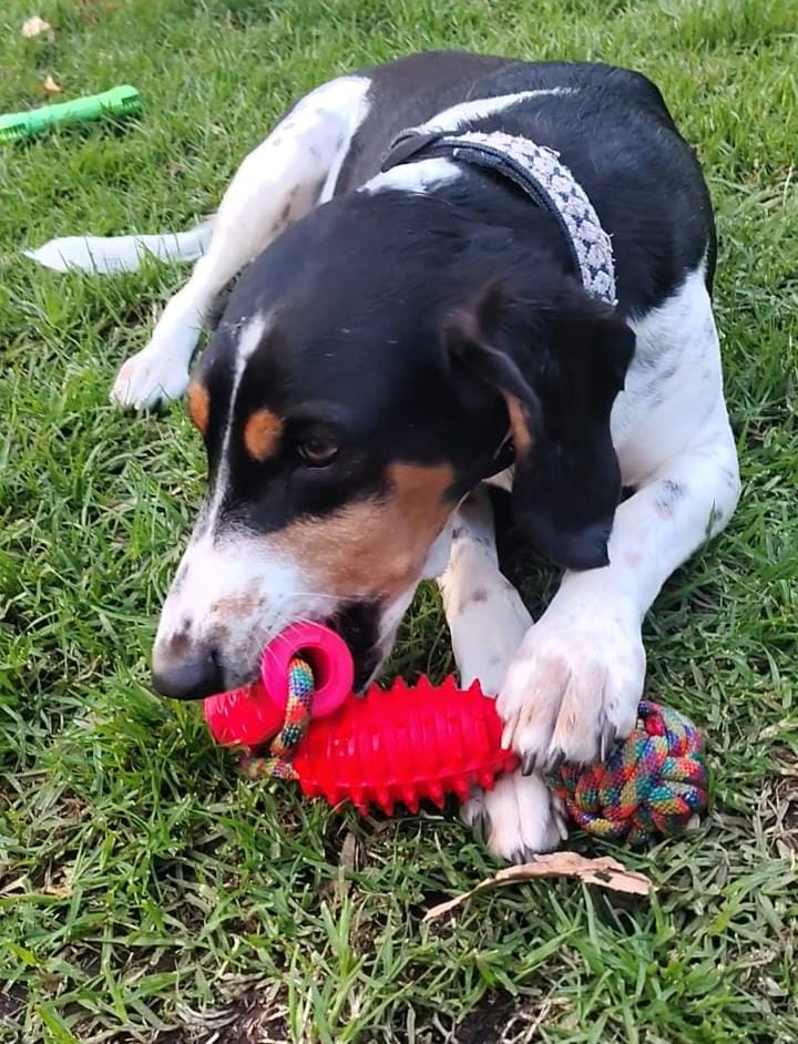 Granada para halar - Imagen 9